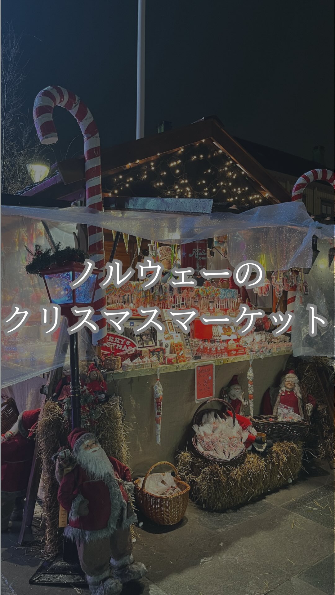 【1分で楽しめる】ノルウェー🇳🇴のクリスマスマーケットダイジェスト🤶

私が実際に撮ったノルウェー🇳🇴(Trondheim)のクリスマスマーケットの様子です🎄
大きい観覧車はクリスマスマーケットのときに毎年組み立てられ、25日が過ぎたら解体されます🎡🥲

途中でオランダの国旗が見られますが、オランダで有名なチーズが売られたりして、ノルウェー以外の国のおやつなども買えるようになってました☺️

この動画はTrondheim(ノルウェーの第3都市)ですが、首都のOsloのクリスマスマーケットはもっと大規模でした🥰

#Norway #ノルウェー #クリスマスマーケット
